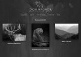 Don Wagner