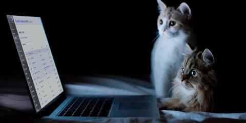 New and Improved Admin Text Editors