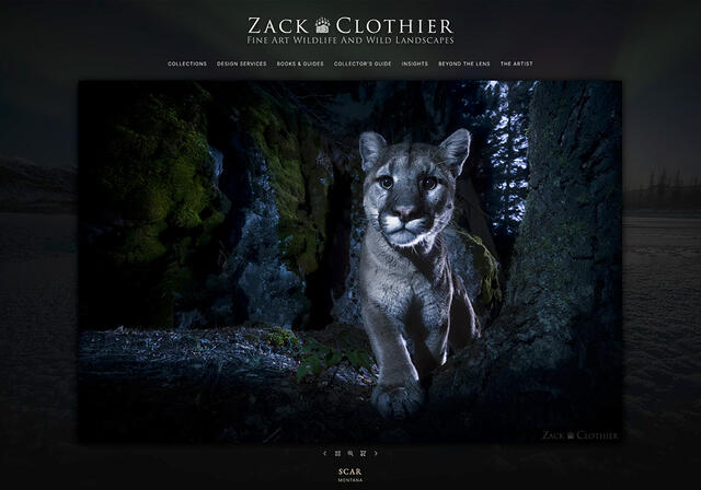 Zack Clothier