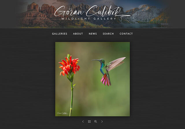 Goran Culibrk