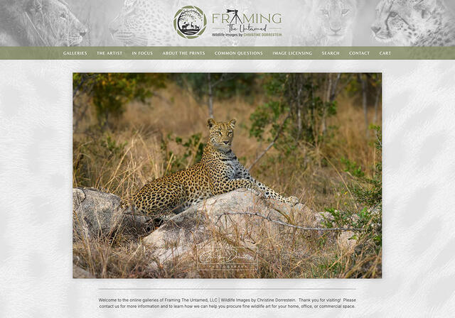 Christine Dorrestein