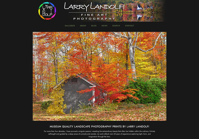 Larry Landolfi