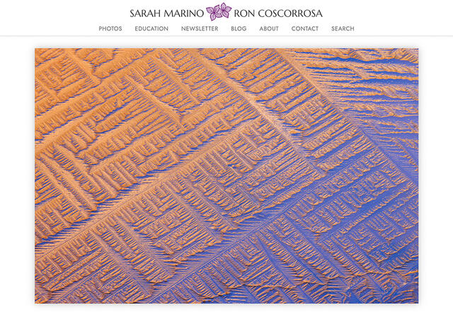 Sarah Marino & Ron Coscorrosa