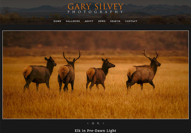 Gary Silvey