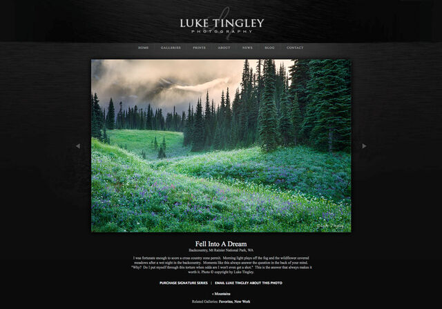 Luke Tingley