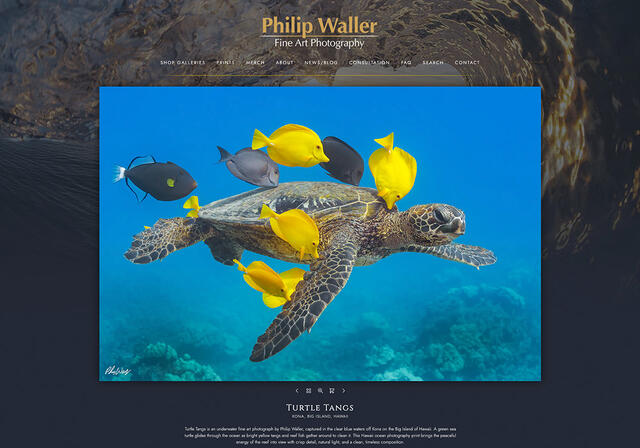 Philip Waller