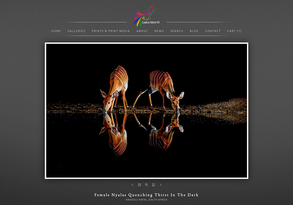 Nataraj Ankinakatte "After many years of hosting and managing websites on the WordPress platform, I began my search for a more efficient solution...