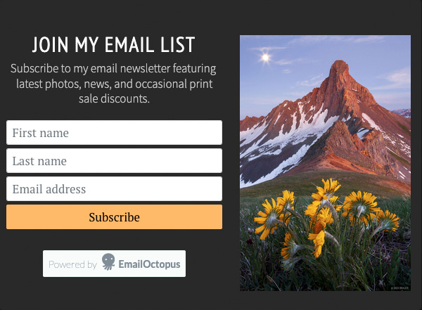 EmailOctopus embedded signup form